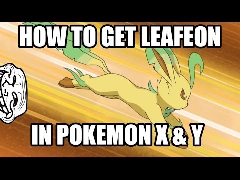 how to get leafeon in pokemon y