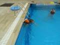 LB Swim.MOV