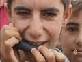 تقرير: احمد الزاويتي21-8-2007