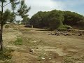 motocross forj�es viana do castelo