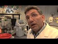 ScienceFlash 47 - Ruikende Planten Reportage ScienceFlash 47 - Ruikende Planten Reportage