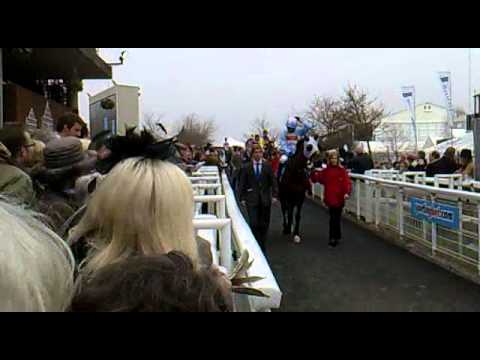cheltenham races