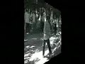 some tanglang training footage of mike in taiwan. wang laoshi is in his eighties here....