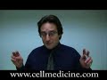 Embryonic Stem Cells From Skin: Making Old Cells Young