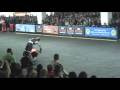 Streetbike Freestyle World Championship 2009 Zurich: Day3: Qualifying: Humberto Ribeiro