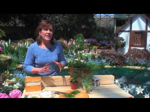 For a Relaxing Mediterranean Themed Backyard - Add an Herb Garden!