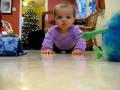 Chloe Crawls!