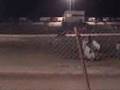 Lemoore Racing - Fight Club