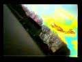 rc bike nitro rear cam view