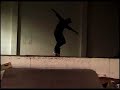 Stereo skateboards team profile from the berrics