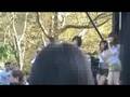 Wonder Girls Video 1 @ Korean Harvest Festival 2008