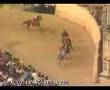 palio ago 1992 contrada del drago
