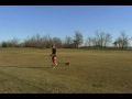 Jamie Robertson / Trex 700 W / Total-G installed