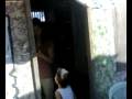 Jaybee806.mp4