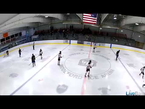 10th Grade High Schol - Steal, Pass, Goal!