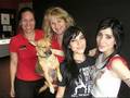 videos de Speechless - the veronicas