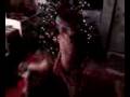 videos de Christmas fun.3g2