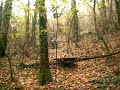 saltino sui Colli Euganei