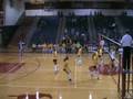 Brittany Dye Setter #4