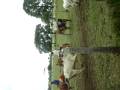 videos de Vacada