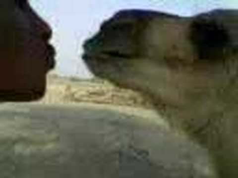 زب حريم طيز كس ديود