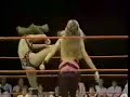 malia hosaka vs wendi ricter malia hosaka vs wendi ricter