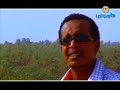 من بلاد - أبوذر عبدالباقي