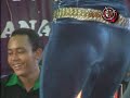 bunga sedap malam
