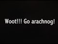 torino wow arena pvp druid