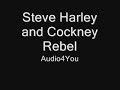 Steve Harley and Cockney Rebel Sebastian