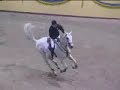 Cardento mov. 03