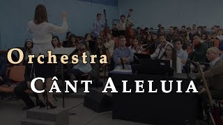 Orchestra – Cant Aleluia