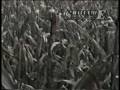 videos de The Charge.wmv