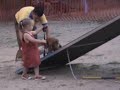 adiestramiento abraham educador canino
