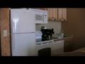 videos de San Jose Del Cabo Vacation Rental-Peninsula Condo