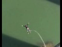 Bungee Bungee