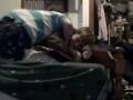videos de Jan 05 2009 - VID00012