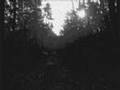 Burzum - Hvis Lyset Tar Oss