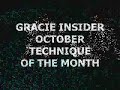 Gracie Insider October 2006 Technique of Month - Hook Sweep