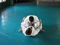 Gracie Insider October 2006 Technique of Month - Hook Sweep Gracie Insider October 2006 Technique of Month - Hook Sweep
