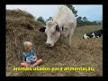 * TERRÁQUEOS * - Parte - 9 de 9 - Final.