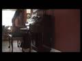 Assistir ao v�deo