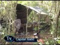 FECHANDO UMA \"FABRICA\"DE MACONHA