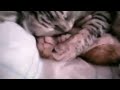 Cat mom hugs baby kitten (Human parody)