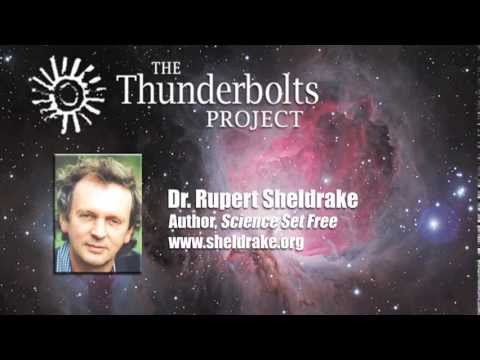 controversy - Dr. Rupert Sheldrake discusses TED's controversial decision to remove his talk from their YouTube channel. Rupert's response to TED and its anonymous scienti...