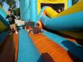 videos de Alek & Armand At the OC Fair