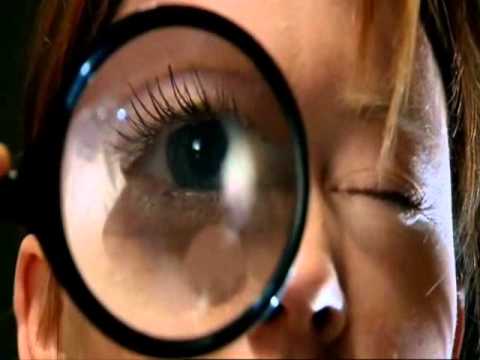 sugar rush sugar rush