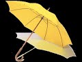Le Parapluie