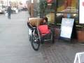 Hiker Adult Tricycle
