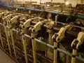 Machine kamer Sleepboot Elbe